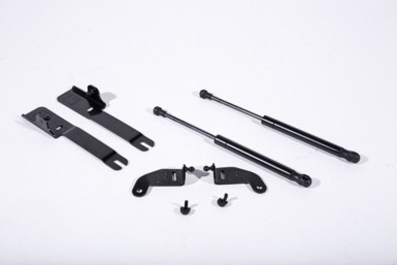 ROUSH 2015-2019 Ford Mustang Hood Strut (w/o Active Hood Saftey) 422043 422043 Photo - Primary