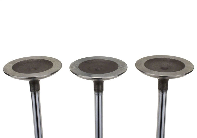 Ford Racing Coyote 5.2L Lightweight Intake Valve - Set of 8 M-6507-M52 M-6507-M52 Photo - Unmounted