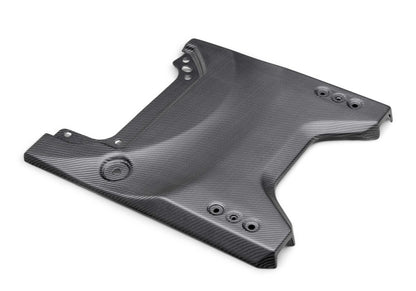 Ford Racing 22-24 Ford Bronco Raptor Carbon Fiver Tailgate Applique - Matte M-16600-BM M-16600-BM Photo - Primary