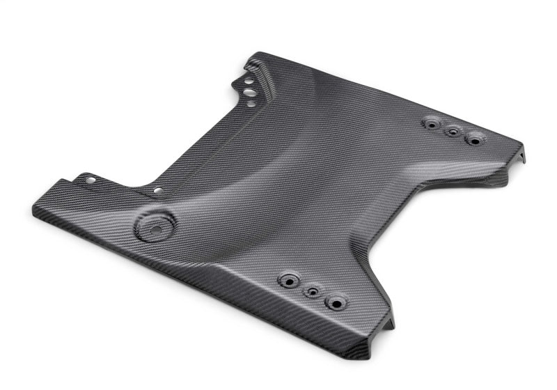 Ford Racing 22-24 Ford Bronco Raptor Carbon Fiver Tailgate Applique - Matte M-16600-BM M-16600-BM Photo - Primary