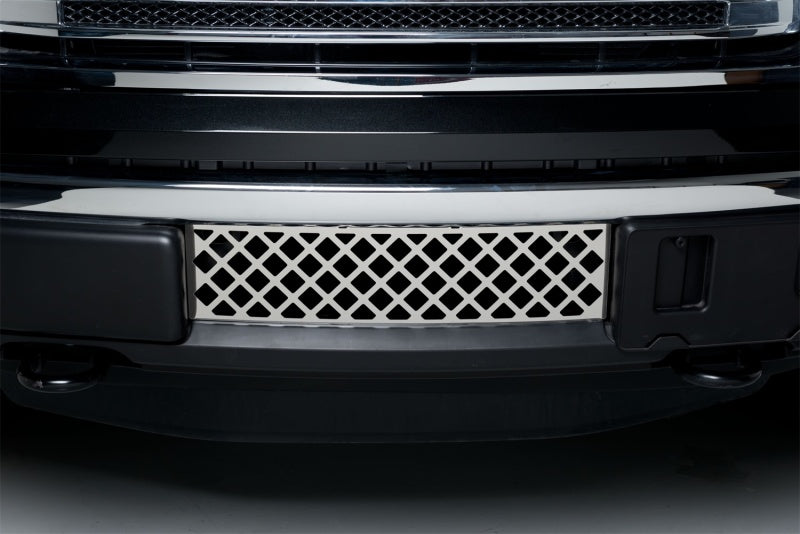 Putco Stainless Steel Diamond Bumper Grille Inserts - Ford F150 - EcoBoost 82182 Photo - Mounted