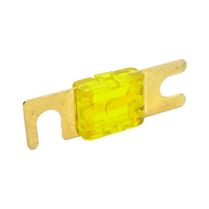 Snow Performance Snow 100 Amp Fuse SNF-25012 SNF-25012 Photo - Primary