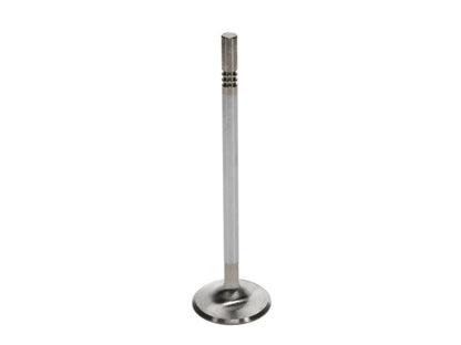 Manley Performance Ford 4.6L DOHC (4 Valve) Triple Groove 37mm Race Master Intake Valves 11616-8 User 2