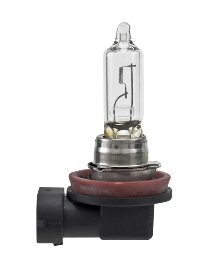 Hella Bulb H9 12V 65W Pgj195 T4 Sb H9SB H9SB Photo - Primary