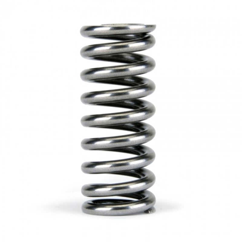 Skunk2 Alpha Series Valve Spring Set Honda SOHC D-Series VTEC 311-05-1345 Photo - Unmounted