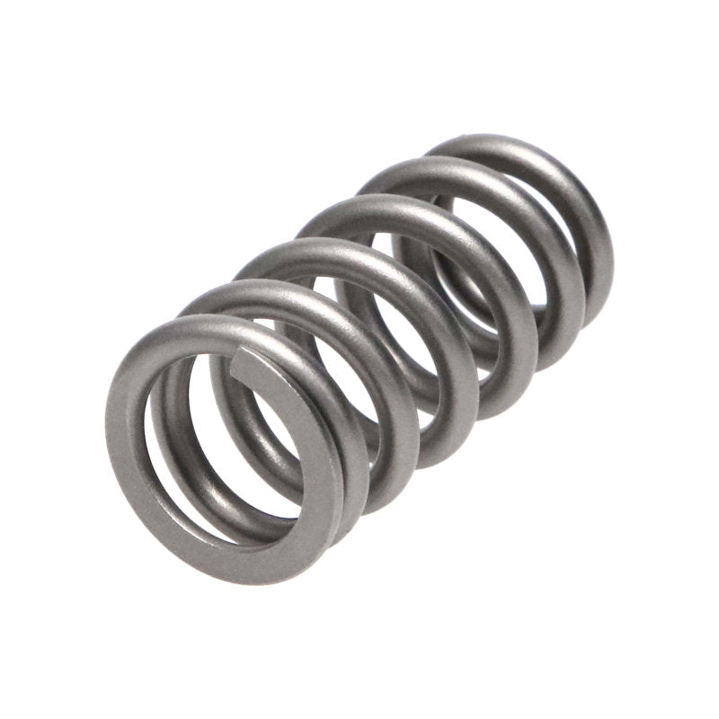 Manley Performance Manley Ford/Mazda 2.0L/2.3L/2.0L 16pc Valve Spring Kit 22200-16 22200-16 Photo - out of package
