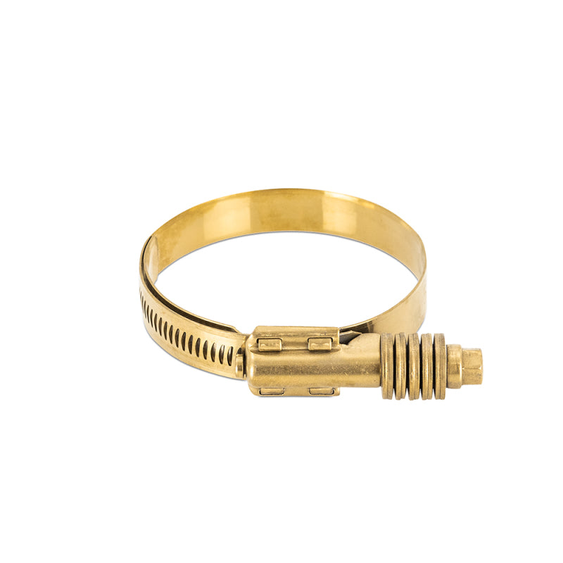 Mishimoto Constant Tension Worm Gear Clamp 2.24in.-3.11in. (57mm-79mm) - Gold MMCLAMP-CTWG-79GD MMCLAMP-CTWG-79GD Photo - Primary