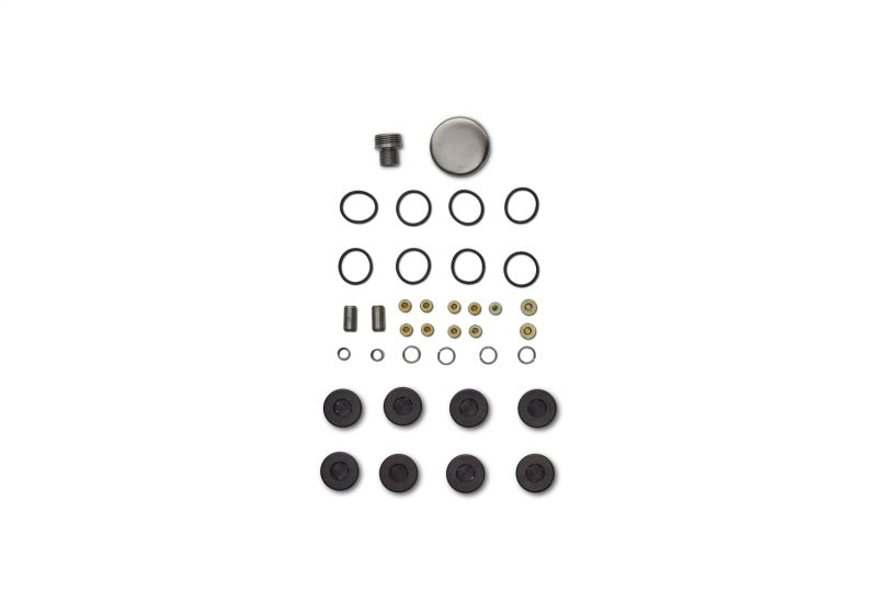 Ford Racing Plug and Dowel Kit For All Boss Blocks M-6026-BOSS M-6026-BOSS Photo - Unmounted