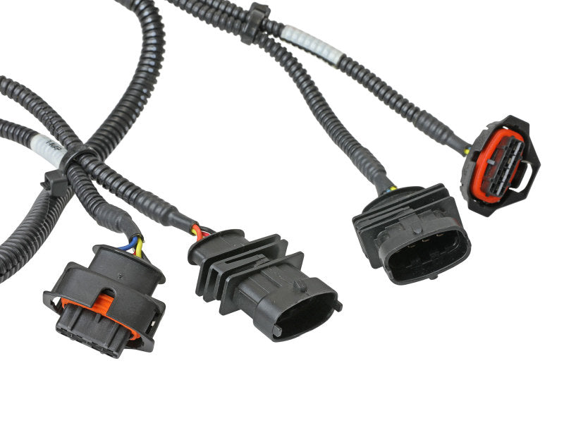 aFe Scorcher Module 14-19 Ford Fiesta ST L4-1.6L 77-43029 77-43029 Photo - Close Up