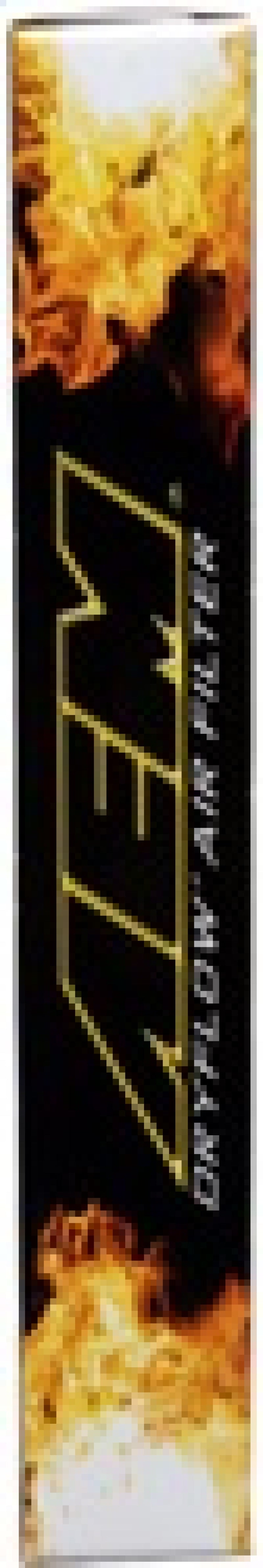 AEM Induction AEM 02-10 VW Touareg, 02-09 Porsche Cayenne Panel Filter 28-20857 28-20857 Photo - in package