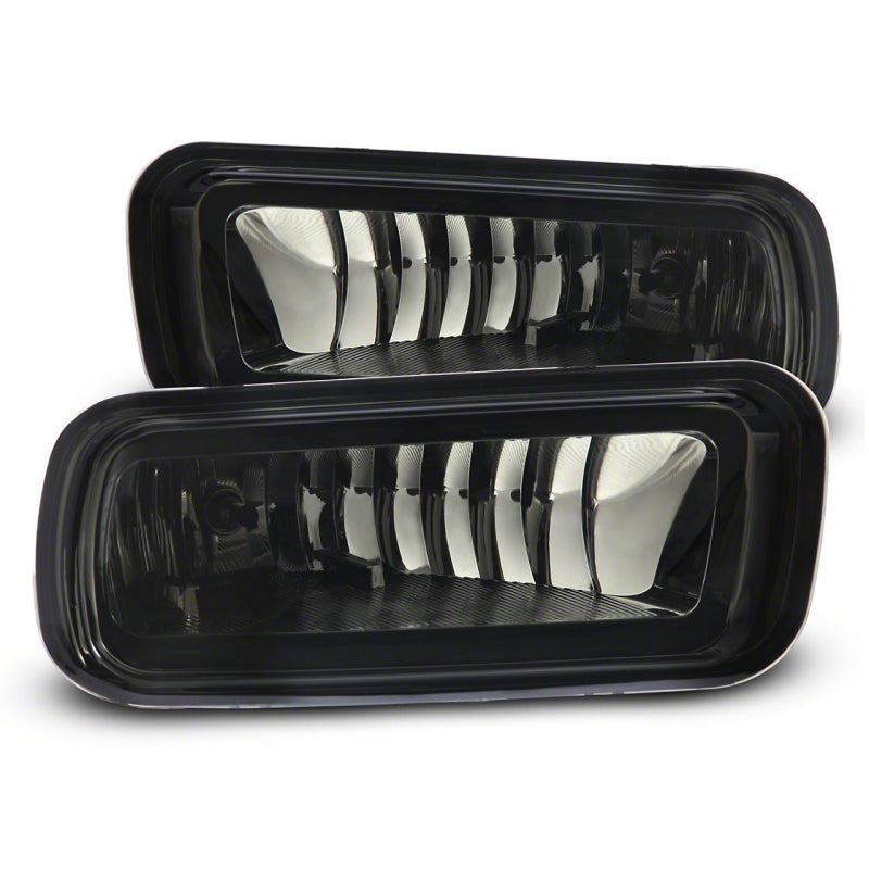 Raxiom 04-06 Ford F-150 Fog Lights- Smoked T542873 T542873 Photo - Primary