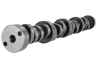 Ford Performance Parts Ford Racing Small Block V-8 Hydraulic Roller Tappet Camshafts M-6250-B303 Photo - Primary
