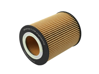 aFe Pro Guard D2 Oil Filter BMW 323iS All 1996-2006 44-LF022 Photo - Unmounted