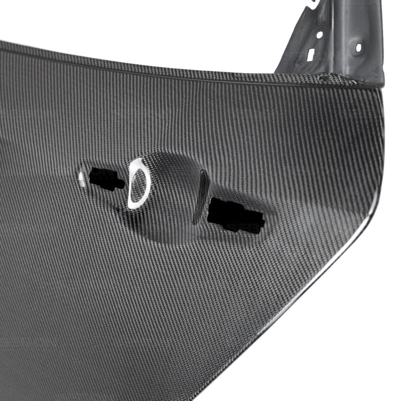 Seibon 2017 Honda Civic Type-R OE Style Gloss Carbon Fiber Rear Doors DD17HDCVR-R DD17HDCVR-R Photo - Primary