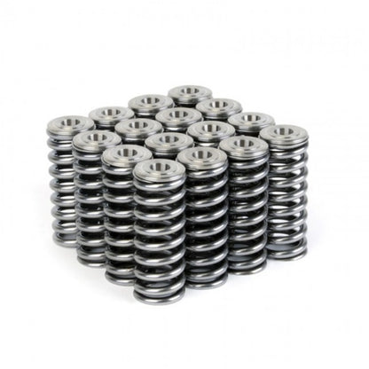 Skunk2 Alpha Series Valve Spring & Ti Retainer Kit Honda/Acura D Series VTEC 344-05-1350 Photo - Unmounted