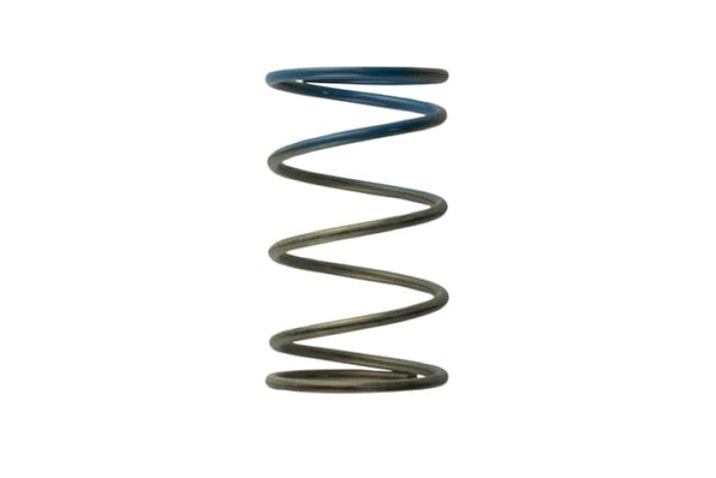 Turbosmart WG40 10PSI Outer Spring Brown/Blue TS-0505-2005 Photo - Primary