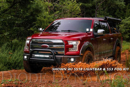 Diode Dynamics 15-20 Ford F-150/Raptor Sport SS3 LED Ditch Light Kit - Yellow Combo DD6568 DD6568 User 4