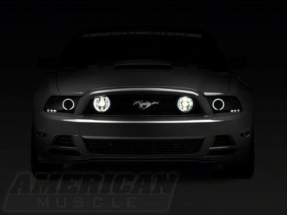 Raxiom 13-14 Ford Mustang GT CCFL Halo Fog Lights- Chrome 49176 49176 Photo - Close Up