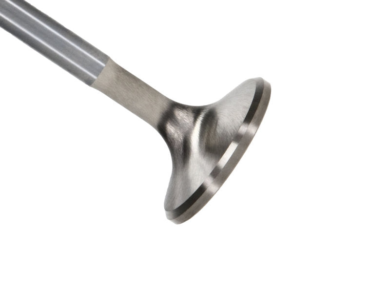 Manley Severe Duty Stainless Steel Exhaust Valves Chrysler V8 1.600 - Set of 8 11703-8 11703-8 Photo - Primary