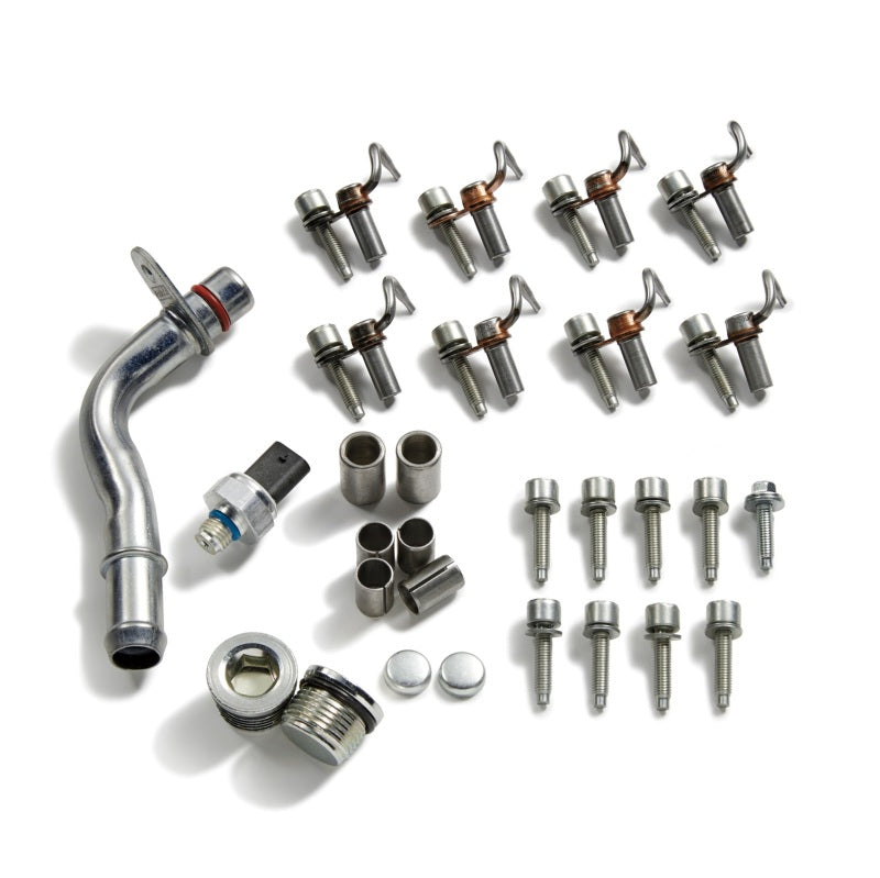 Ford Racing 2020+ F-250 Super Duty 7.3L Cylinder Block Plug and Dowel Kit M-6026-SD73 M-6026-SD73 Photo - Primary