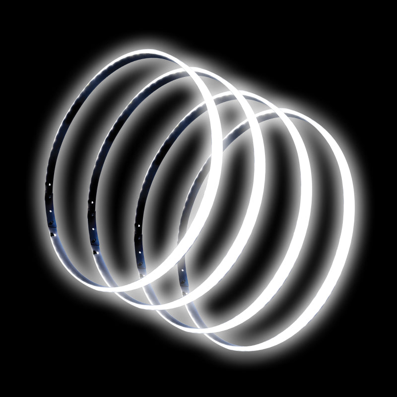ORACLE Lighting Oracle LED Illuminated Wheel Rings - White 4215-001 4215-001 Photo - out of package