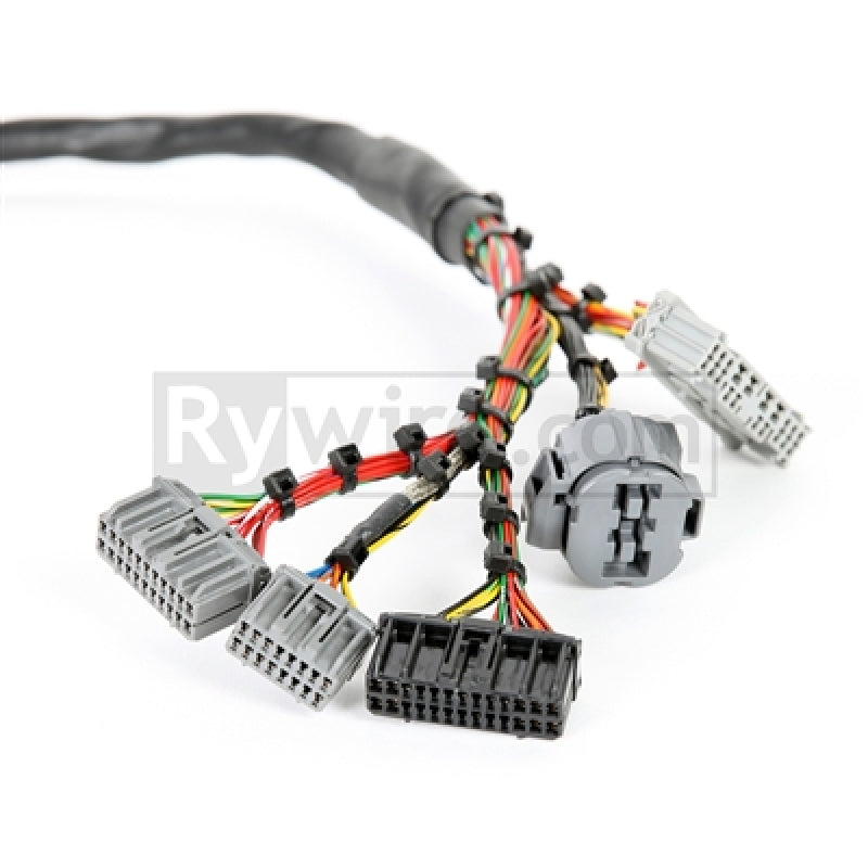 Rywire Honda B-Series Mil-Spec Eng Harness w/OBD2 Dist/Inj/Alt & OBD1 92-95 ECU Plugs (Adapter Req) RY-B2-MILSPEC RY-B2-MILSPEC Photo - Primary