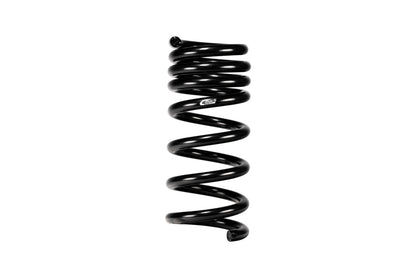 Eibach 24+ Ford Mustang GT Coupe 5.0L RWD S650 Performance Pack w/ Magneride E10-35-064-02-22 E10-35-064-02-22 Photo - Close Up