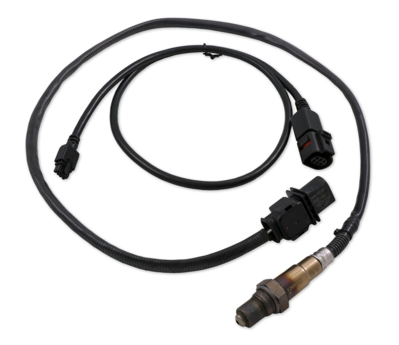 Innovate Motorsports LSU4.9 Upgrade Kit, 3 ft. (Sensor Cable + O2 Sensor) 3896 Photo - Primary