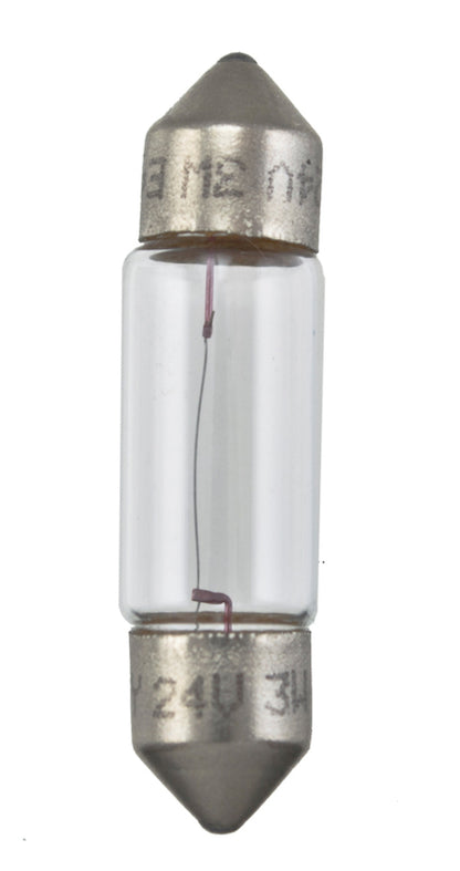 Hella Bulb 6430 24V 3W SV7-8 T2.5 8x29mm 6430 6430 Photo - Primary