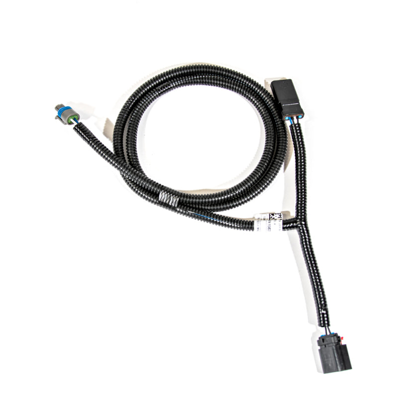 VMP Performance 15+ Coyote 5.0L Supercharged IAT Breakout Harness (Brass GM Style) VMP-INM033 VMP-INM033 Photo - Primary
