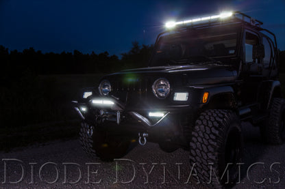 Diode Dynamics 12 In LED Light Bar Single Row Straight Clear Flood (Pair) Stage Series DD6033P DD6033P User 5