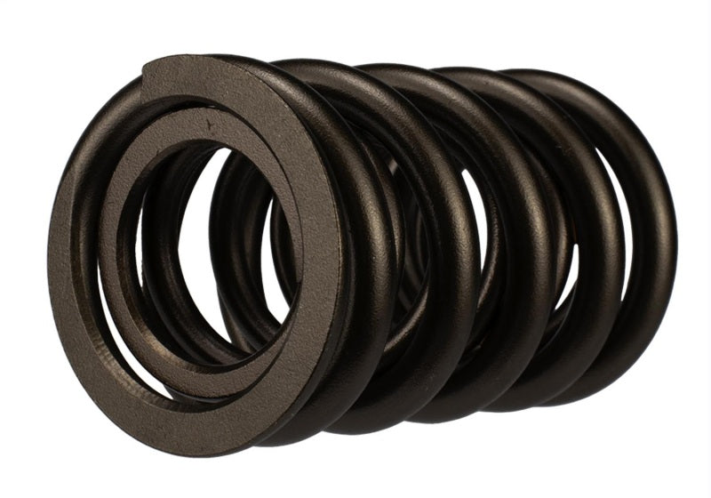 Ford Racing Replacement Valve Springs (TVS-1734) - Set Of 8 M-6513-17348 M-6513-17348 Photo - Unmounted