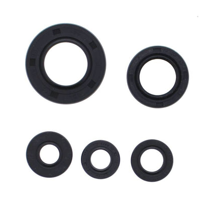 Vertex Pistons Vertex Gaskets 12-13 Honda TRX500FM Oil Seal Kit 822990 822990 Photo - Primary