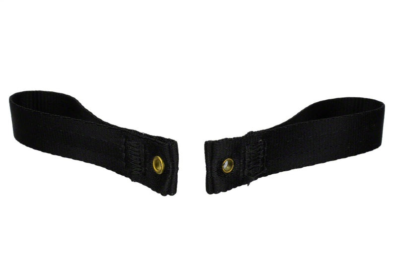 Ford Racing Bronco Tube Door Pull Strap M-19008-BTDP M-19008-BTDP Photo - Unmounted