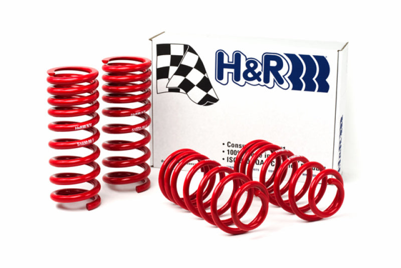 H&R Race Springs Ford Mustang 1994-1995 51650-88 Photo - Primary