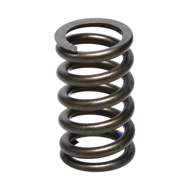 Manley Honda (K20A3 K24A) 16pc Valve Springs 22145-16 22145-16 User 1
