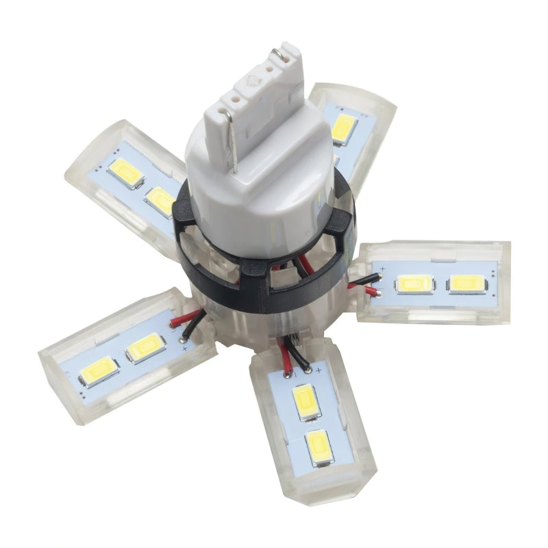 ORACLE Lighting Oracle 7440 24 SMD 3 Chip Spider Bulb (Single) - Cool White 5110-001 5110-001 Photo - Close Up