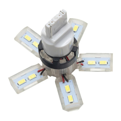 ORACLE Lighting Oracle 7440 24 SMD 3 Chip Spider Bulb (Single) - Cool White 5110-001 5110-001 Photo - Close Up
