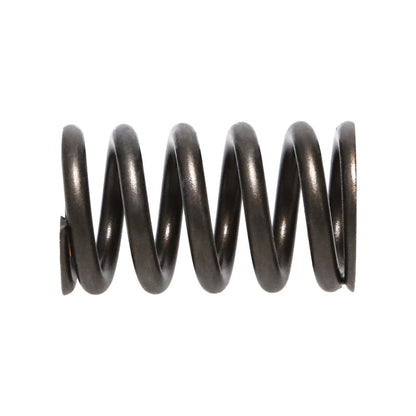 Manley Honda (K20A3 K24A) 16pc Valve Springs 22145-16 22145-16 User 2
