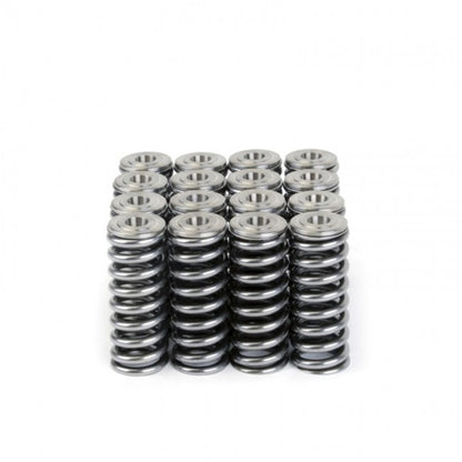 Skunk2 Alpha Series Valve Spring & Ti Retainer Kit Honda/Acura D Series VTEC 344-05-1350 Photo - Unmounted
