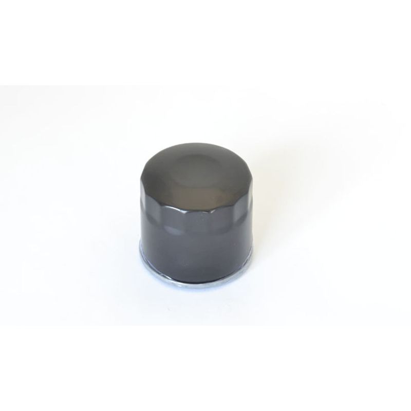 Athena 23-23 Suzuki DL V-Strom De 800 Oil Filter FFP009 FFP009 Photo - Primary