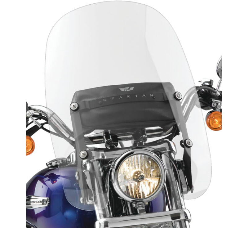 National Cycle Spartan 19in Fxdc N21201 N21201 Photo - Primary