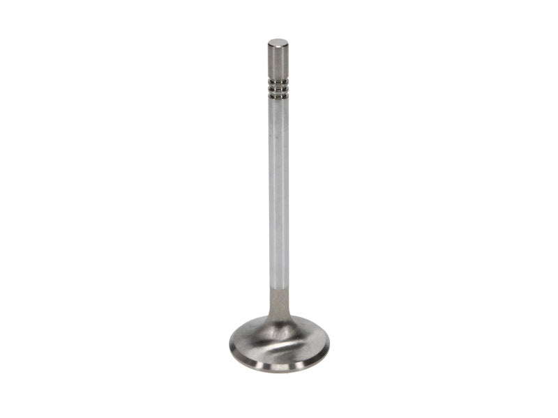 Manley Ford Racing Cylinder Head 4.6L & 5.4L SOHC 36.0mm Race Master Exhaust Valves *Set of 8* 11637-8 11637-8 User 2