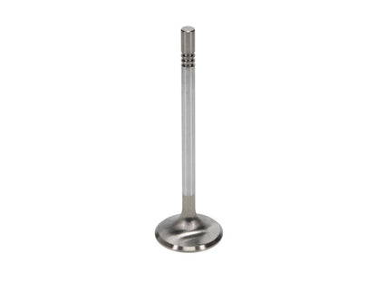 Manley Ford Racing Cylinder Head 4.6L & 5.4L SOHC 36.0mm Race Master Exhaust Valves *Set of 8* 11637-8 11637-8 User 2