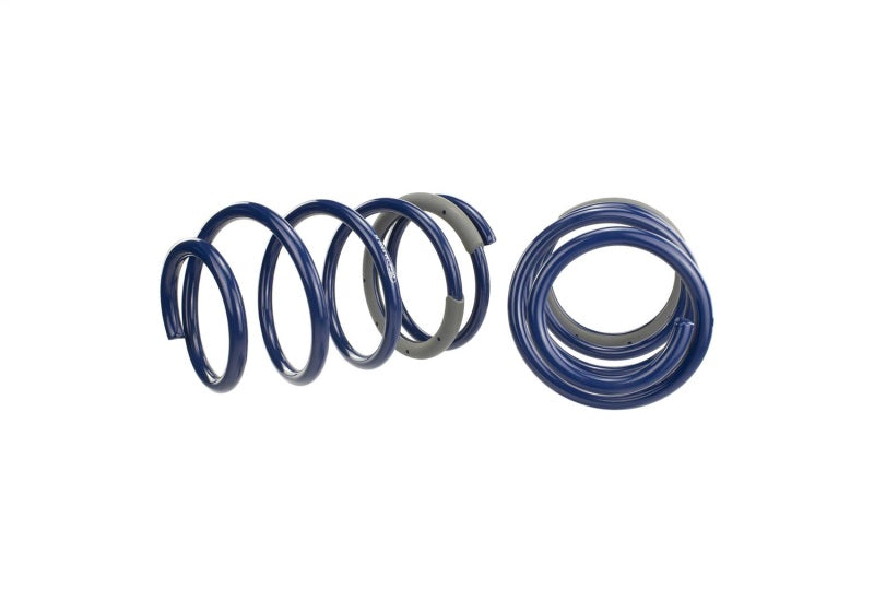 Ford Performance Parts Ford Racing 2005-2014 Mustang GT 1.0in. Track Lowering Springs M-5300-PA Photo - Unmounted