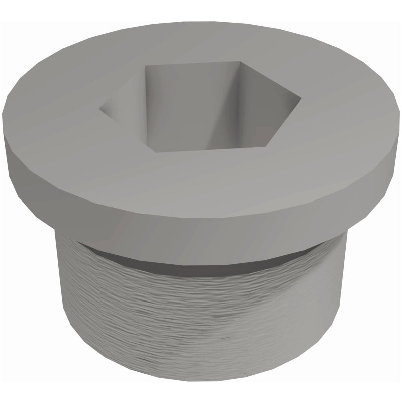 Magnaflow Plug Hex Flange O2 Boss (20-Pk) 10044 10044 Photo - out of package