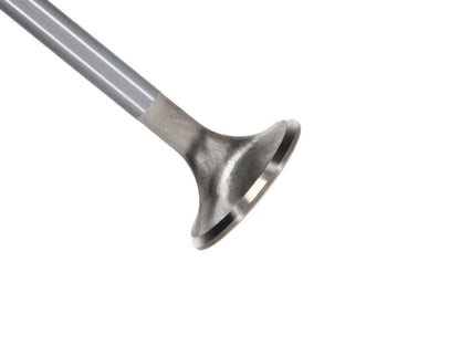 Manley Ford Coyote 5.0L 31.5mm Extreme Duty Exhaust Valves (Set of 8) 12627-8 12627-8 Photo - Primary