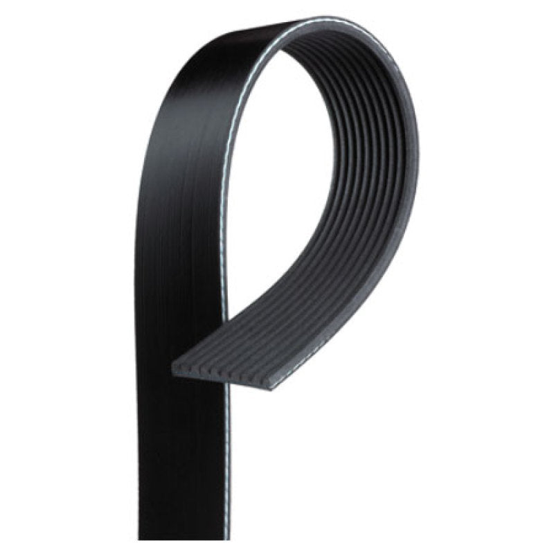 VMP Performance Belt for Coyote w/ Gen3R kit and 3.4in-3.5in Pulley K060815 K060815 Photo - Primary