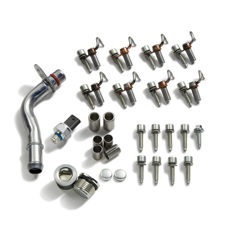 Ford Racing 2020+ F-250 Super Duty 7.3L Cylinder Block Plug and Dowel Kit M-6026-SD73 M-6026-SD73 Photo - Primary