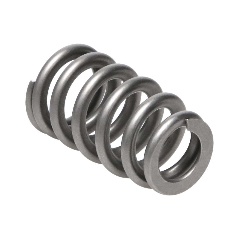 Manley Chrysler Hemi 6.4L NexTek Series High Performance Valve Springs .650 Max Lift 221439-16 221439-16 Photo - Primary